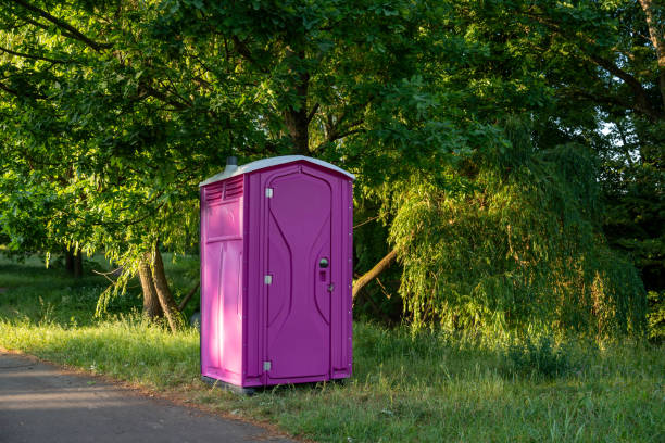 Best Porta potty rental for parties  in Eldorado, IL